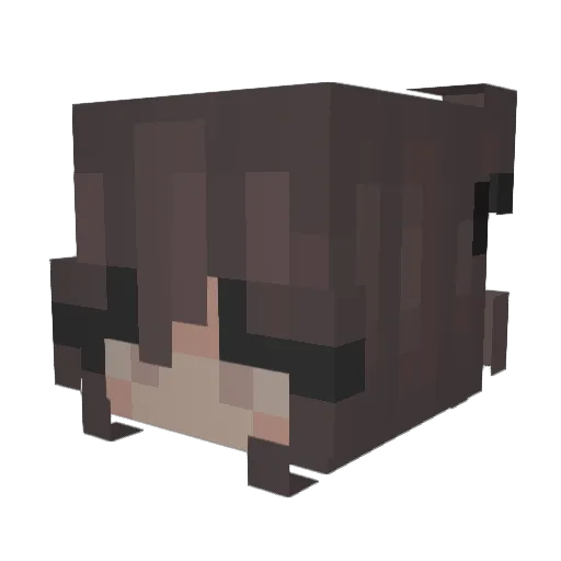 xDie4Me_ Minecraft avatar head, 3D render