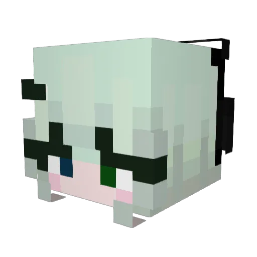 xDirtyDan2k Minecraft avatar head, 3D render