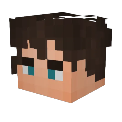 xDish Minecraft avatar head, 3D render