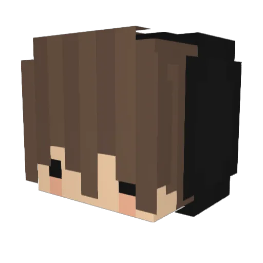 xDopedSoldier Minecraft avatar head, 3D render