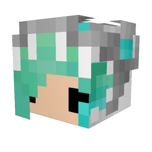 xDragernPloosh Minecraft avatar head, 3D render