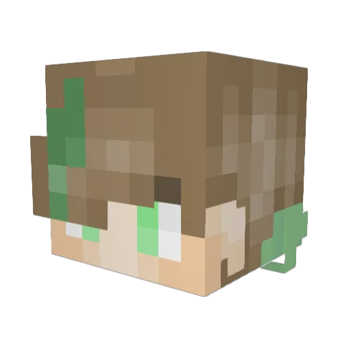 xDragon998 Minecraft avatar head, 3D render