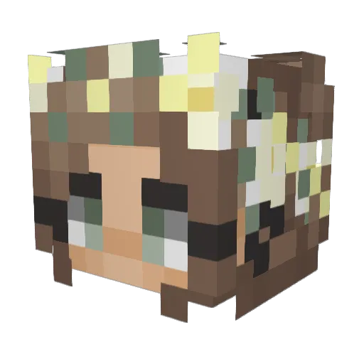 xDragonKaiser Minecraft avatar head, 3D render