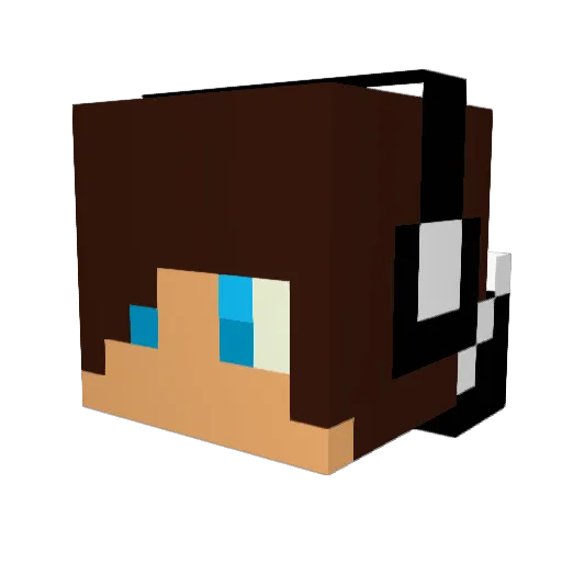 xDragonx00000 Minecraft avatar head, 3D render