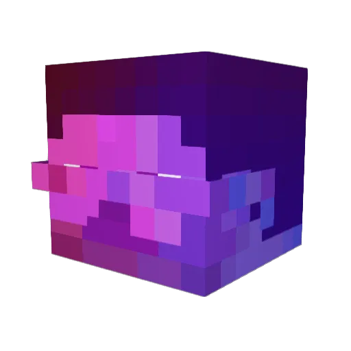 xDrakin Minecraft avatar head, 3D render