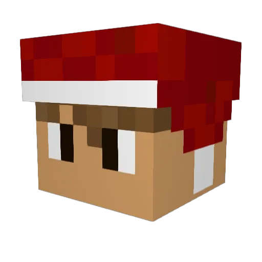 xDuckleoon Minecraft avatar head, 3D render