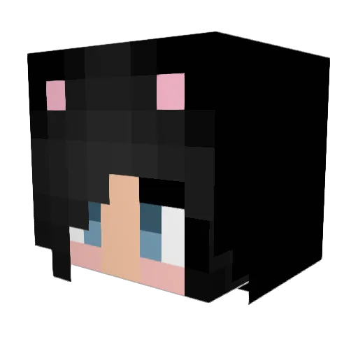 xDuke Minecraft avatar head, 3D render