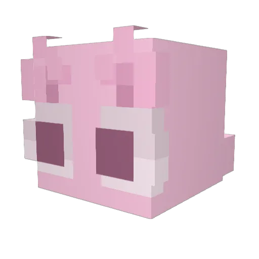 xEcl1pse Minecraft avatar head, 3D render