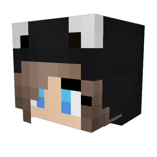 xEdtra Minecraft avatar head, 3D render