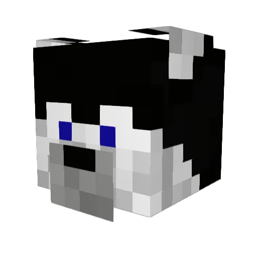xEduCABJ Minecraft avatar head, 3D render