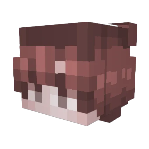xEj_ Minecraft avatar head, 3D render