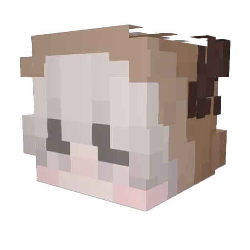 xElectro4x Minecraft avatar head, 3D render