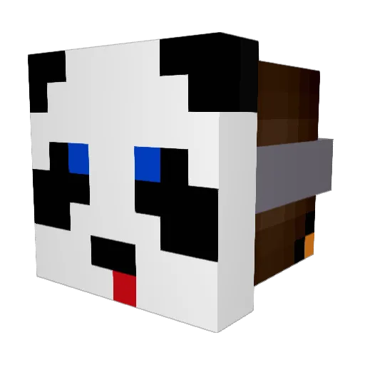 xElio_Playsx Minecraft avatar head, 3D render