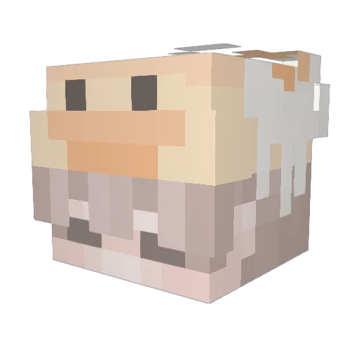 xElzu4 Minecraft avatar head, 3D render
