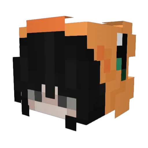 xEnderMax Minecraft avatar head, 3D render