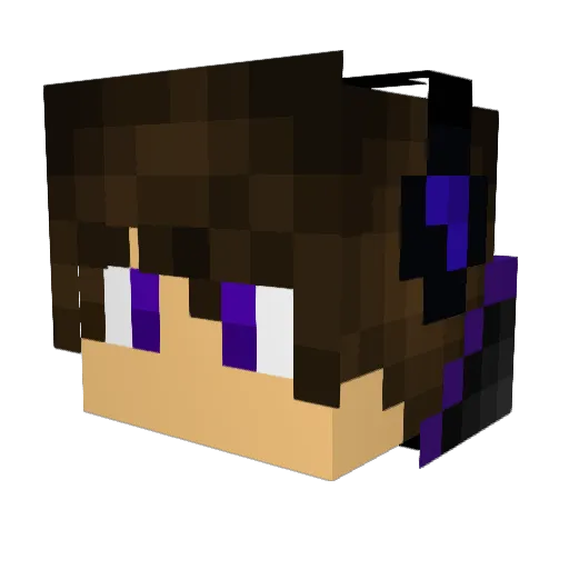 xEnderSlayer Minecraft avatar head, 3D render