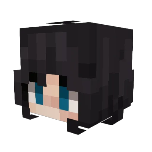 xEnderr Minecraft avatar head, 3D render