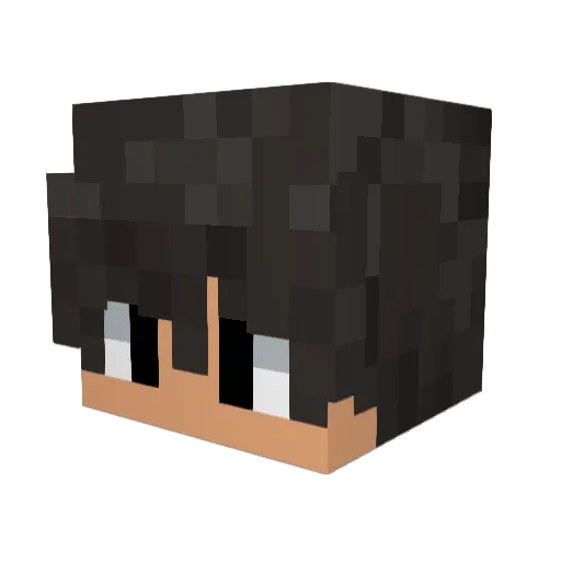 xErdiii Minecraft avatar head, 3D render