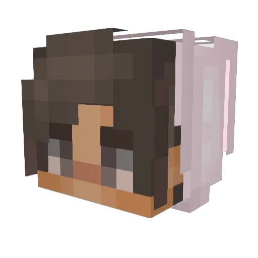 xErick666 Minecraft avatar head, 3D render