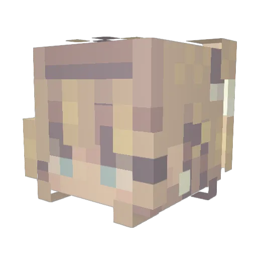 xEv3lyn Minecraft avatar head, 3D render