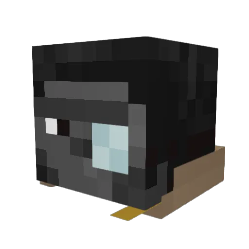 xFLAPJACKSx Minecraft avatar head, 3D render