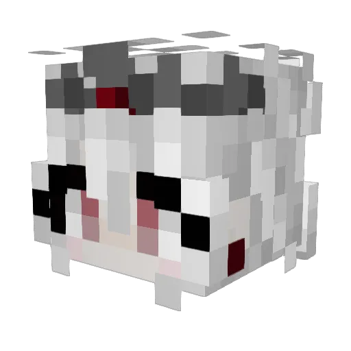 xFORTNITExGAMERx Minecraft avatar head, 3D render