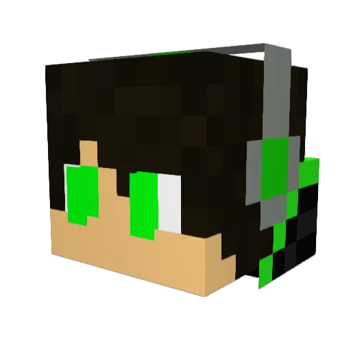 xFWx Minecraft avatar head, 3D render