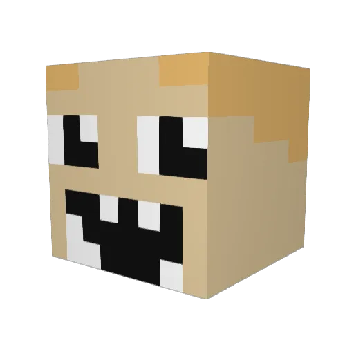 xFadedRainx Minecraft avatar head, 3D render
