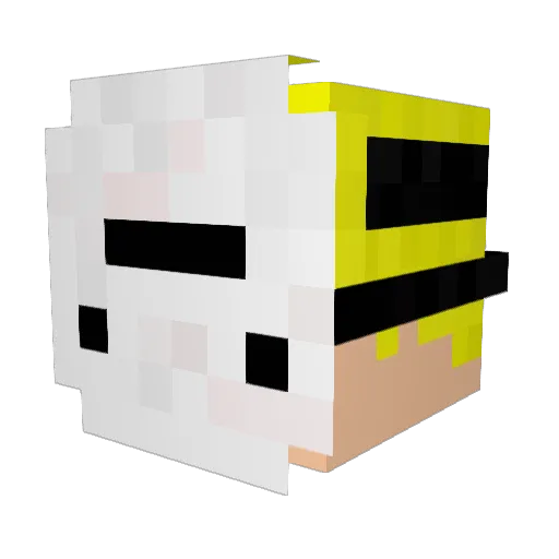 xFakzy_ Minecraft avatar head, 3D render