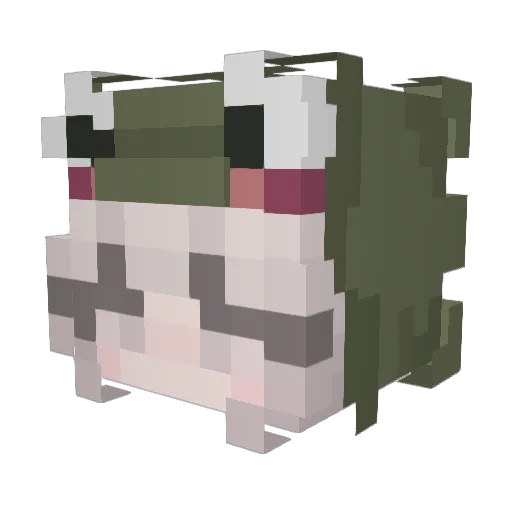 xFanalis Minecraft avatar head, 3D render