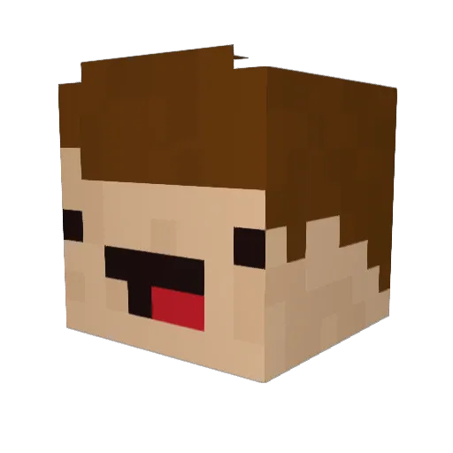 xFbBrx Minecraft avatar head, 3D render