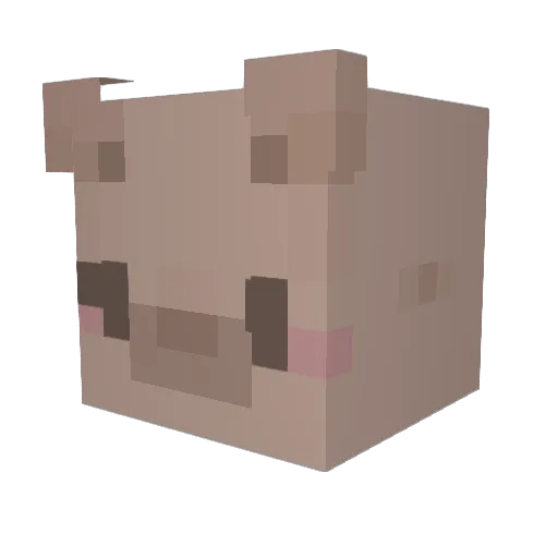 xFer__ Minecraft avatar head, 3D render
