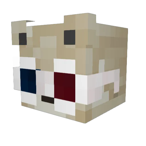 xFeridGG Minecraft avatar head, 3D render
