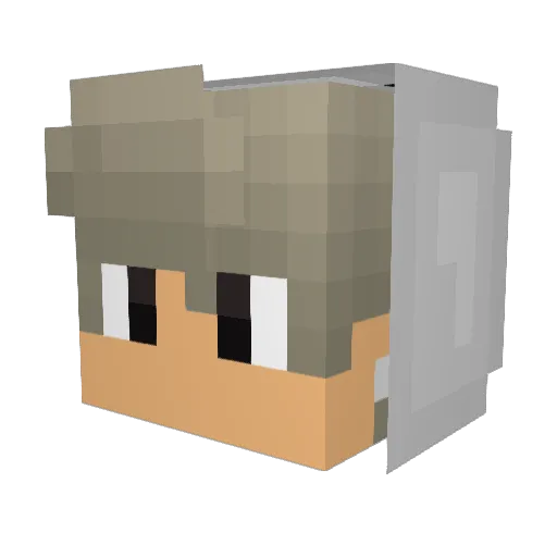 xFerreroBusted Minecraft avatar head, 3D render