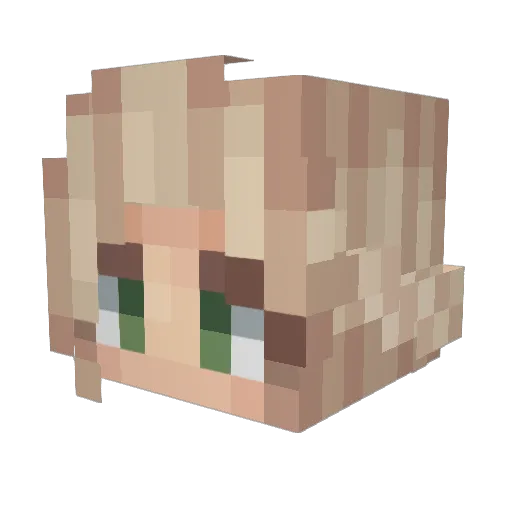 xFidgetsnux Minecraft avatar head, 3D render