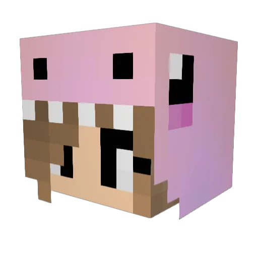 xFien Minecraft avatar head, 3D render