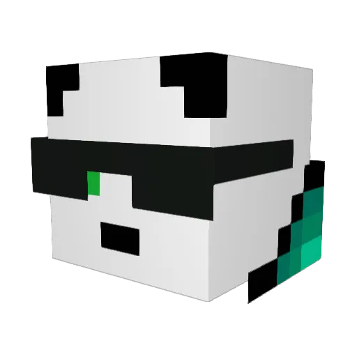 xFinnay Minecraft avatar head, 3D render