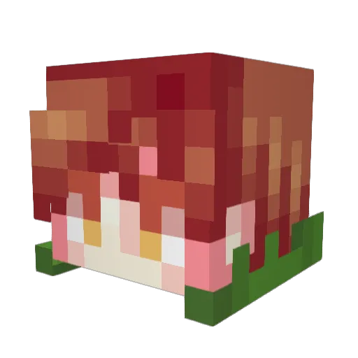 xFives001 Minecraft avatar head, 3D render