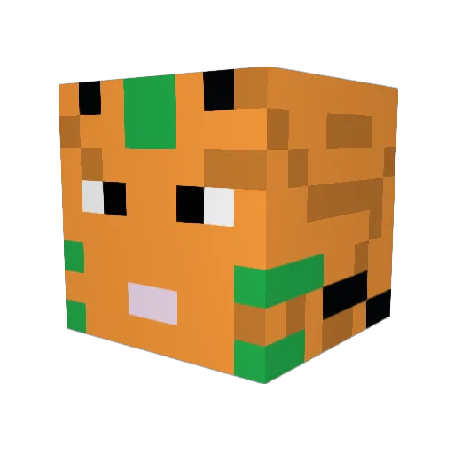 xFizzles Minecraft avatar head, 3D render