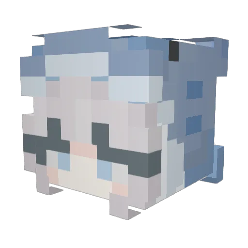 xFlamefireger Minecraft avatar head, 3D render