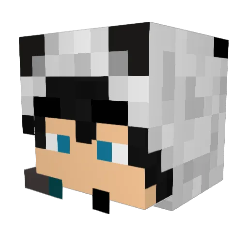 xFlamingDemon Minecraft avatar head, 3D render