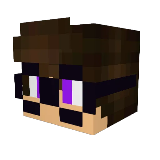xFlashini Minecraft avatar head, 3D render