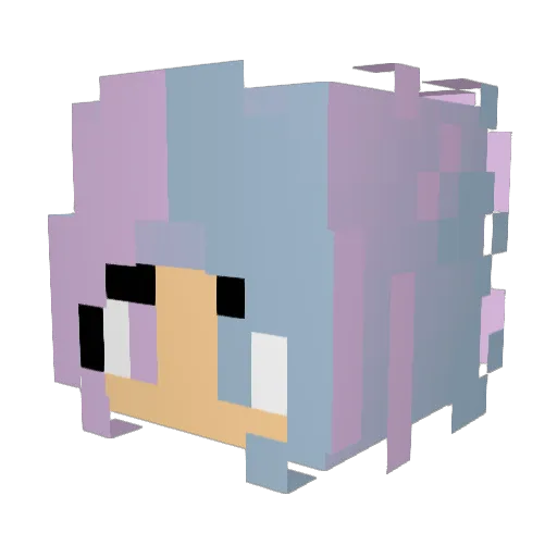 xFlorex Minecraft avatar head, 3D render