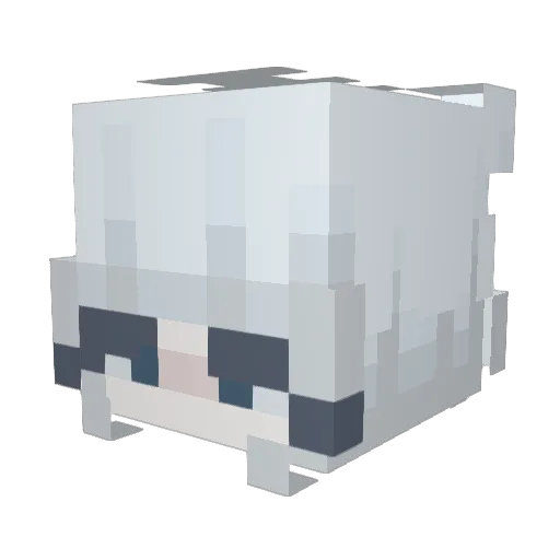 xFluidd Minecraft avatar head, 3D render