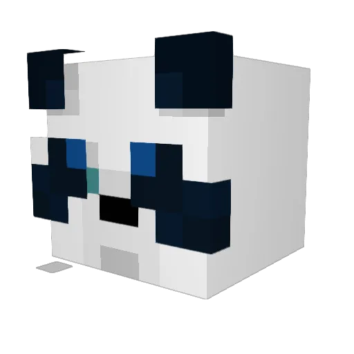 xFlyingTurtlez Minecraft avatar head, 3D render