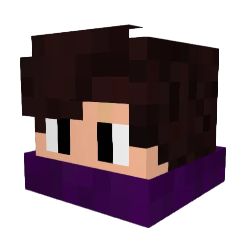 xForqenTR Minecraft avatar head, 3D render