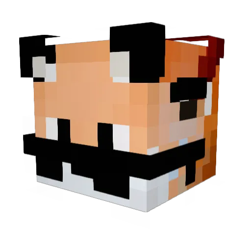xFoxbladex Minecraft avatar head, 3D render
