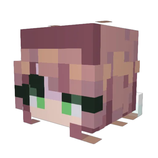 xFrannie Minecraft avatar head, 3D render