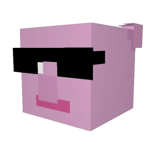 xFroggg Minecraft avatar head, 3D render