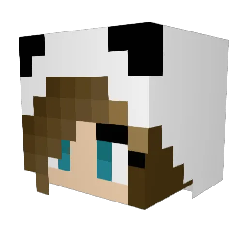 xFrozyyx Minecraft avatar head, 3D render